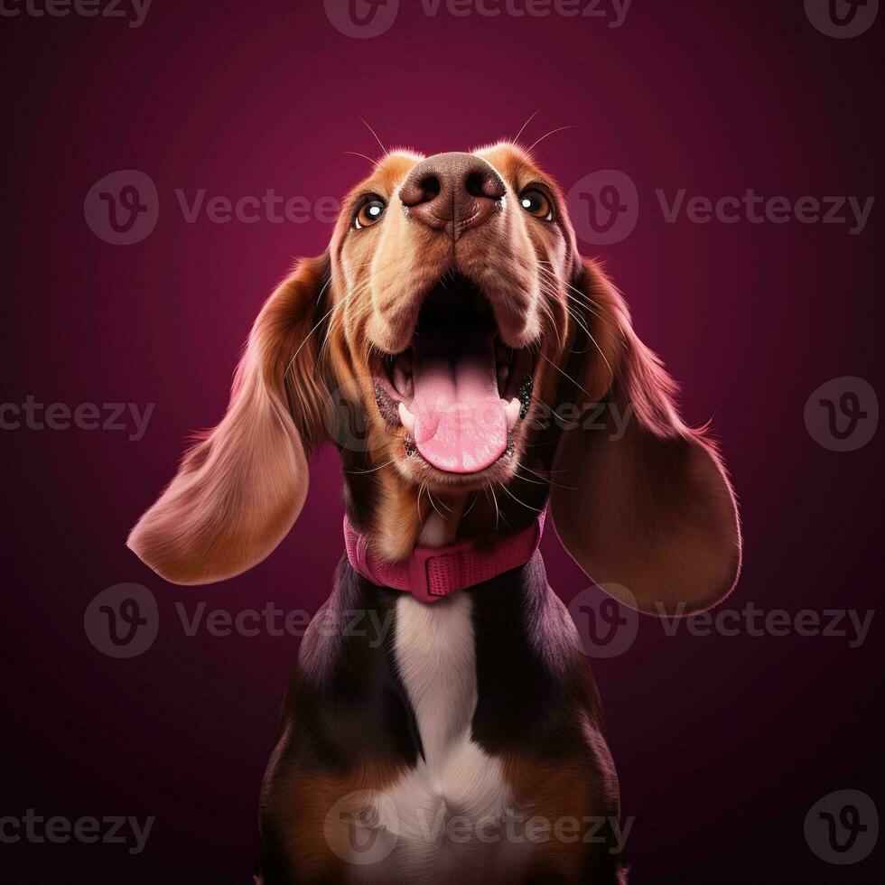 generativo ai, retrato do uma feliz cachorro olhando às a Câmera com boca aberto em Rosa fundo foto
