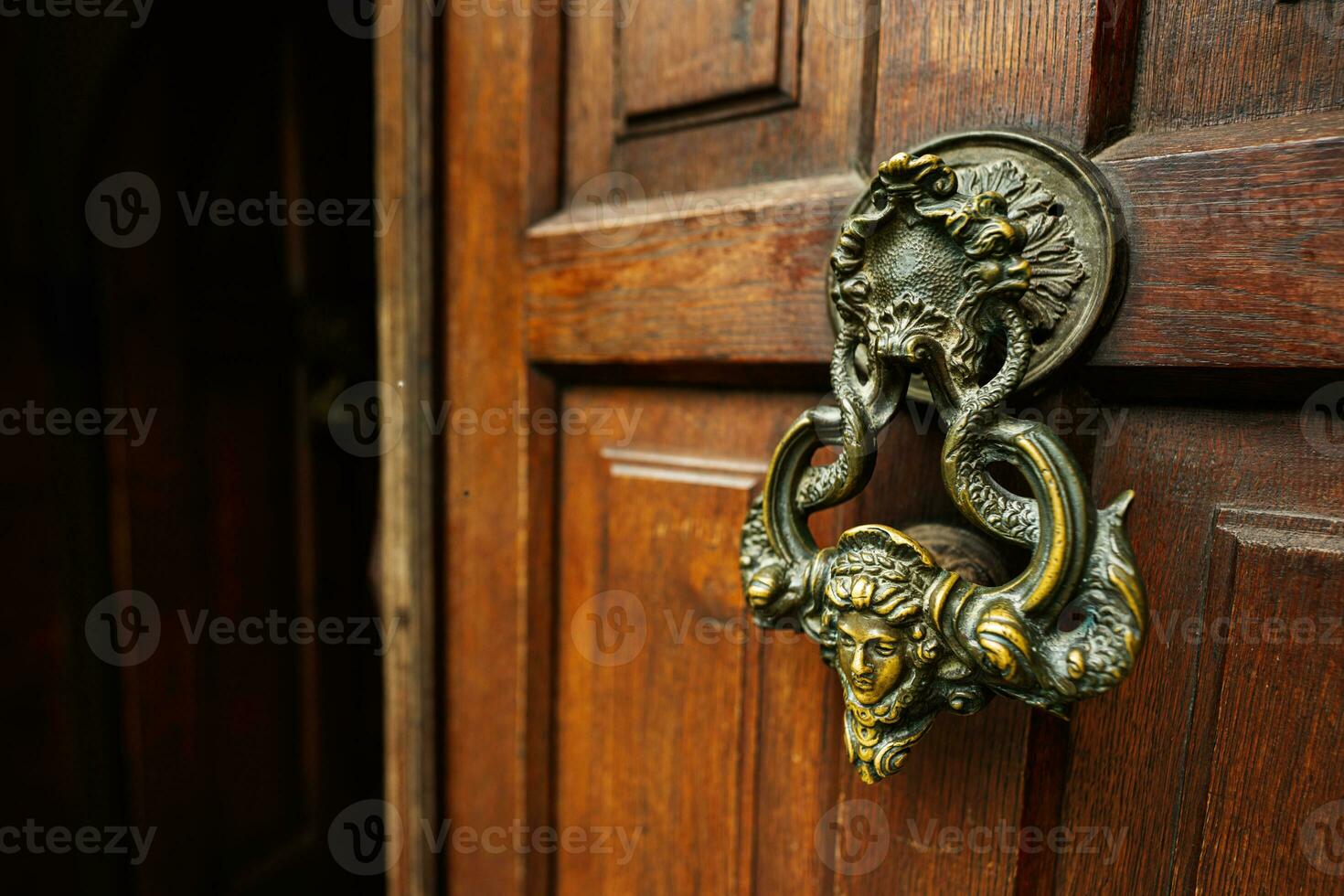 porta aldrava dentro a Formato do uma face em uma de madeira porta dentro Farelo Drácula castelo Entrada. Transilvânia, Romênia, Europa. foto