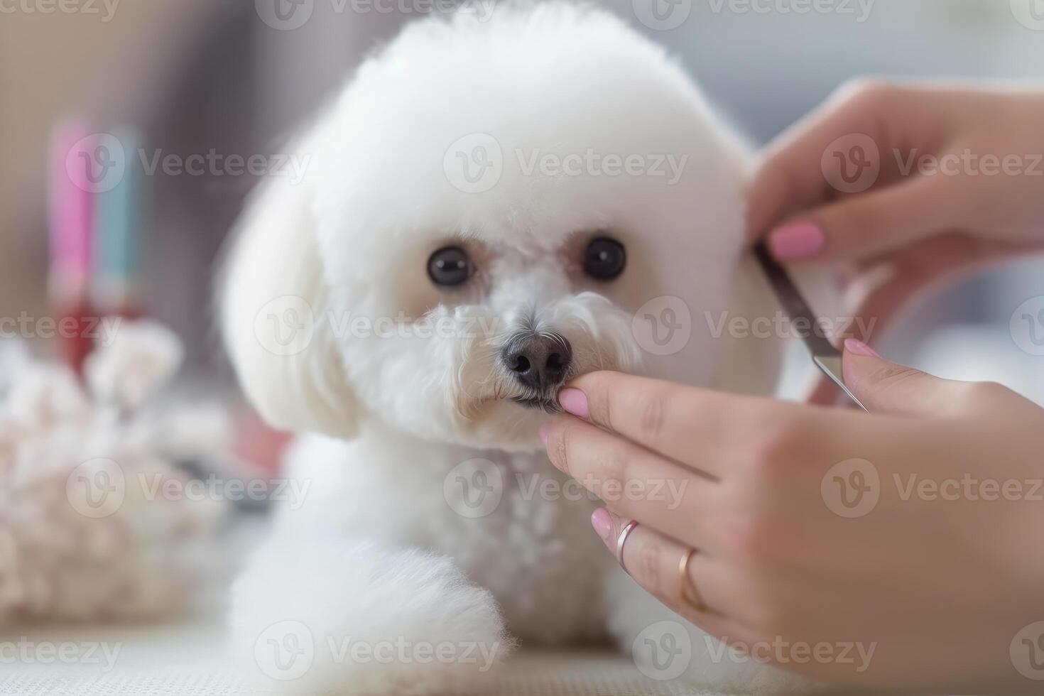 profissional animal aparador Como ela delicadamente guarnições a pele do uma fofo cachorro às uma aliciamento salão. generativo ai foto