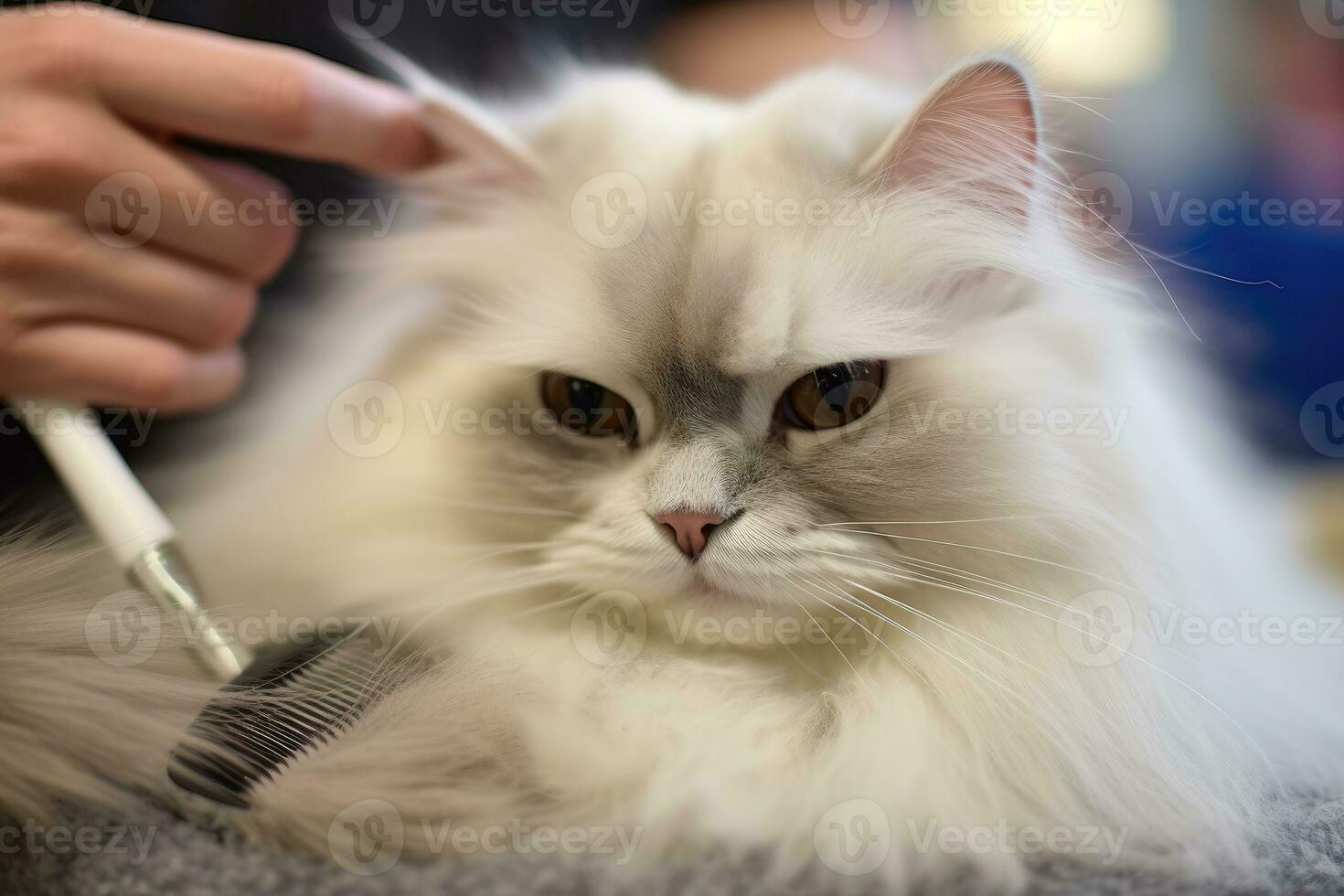 a alegria e relaxamento do uma mimado gato Como uma aparador suavemente escovas Está pele às uma aliciamento salão. generativo ai foto