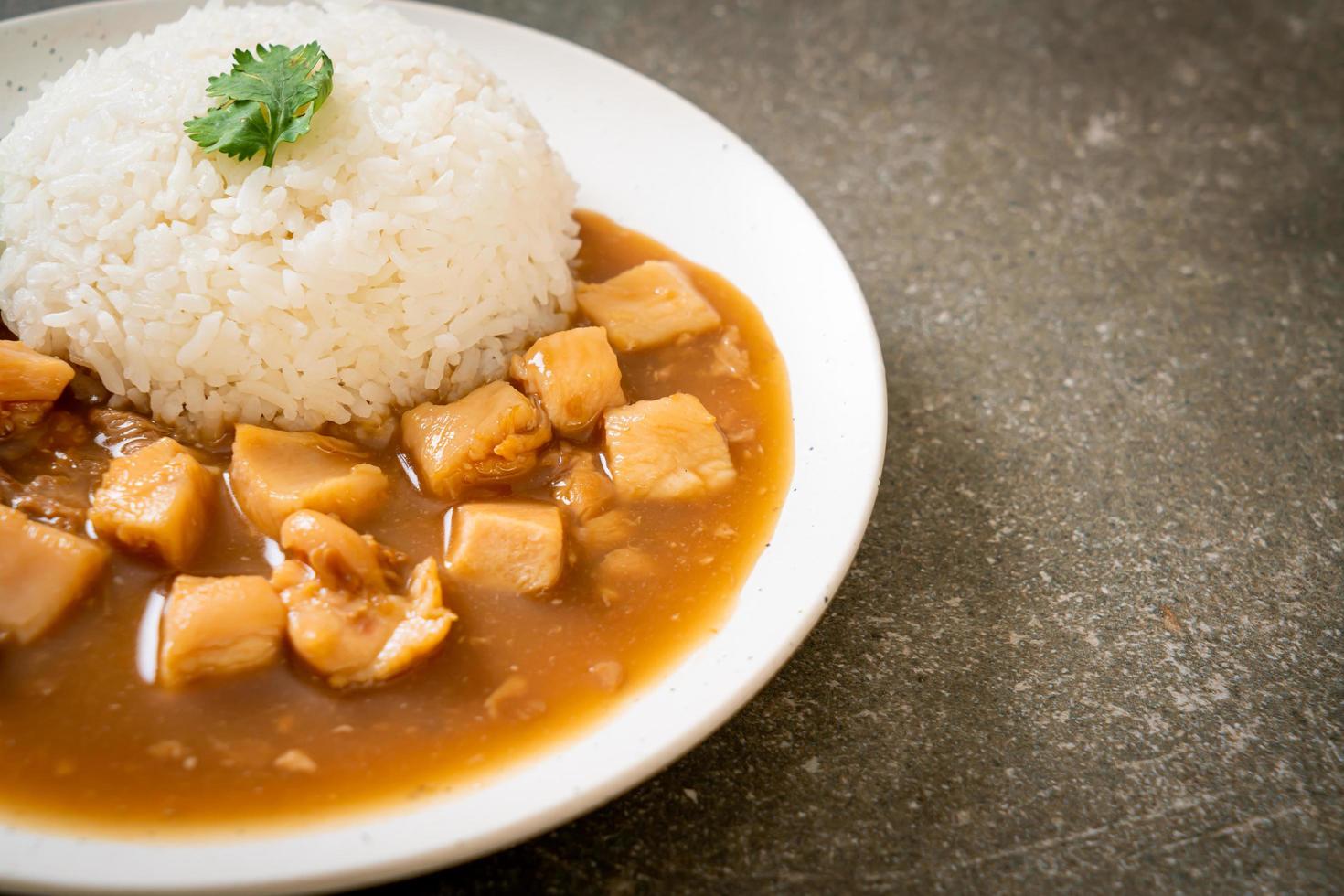 frango ao molho marrom ou molho de molho com arroz foto