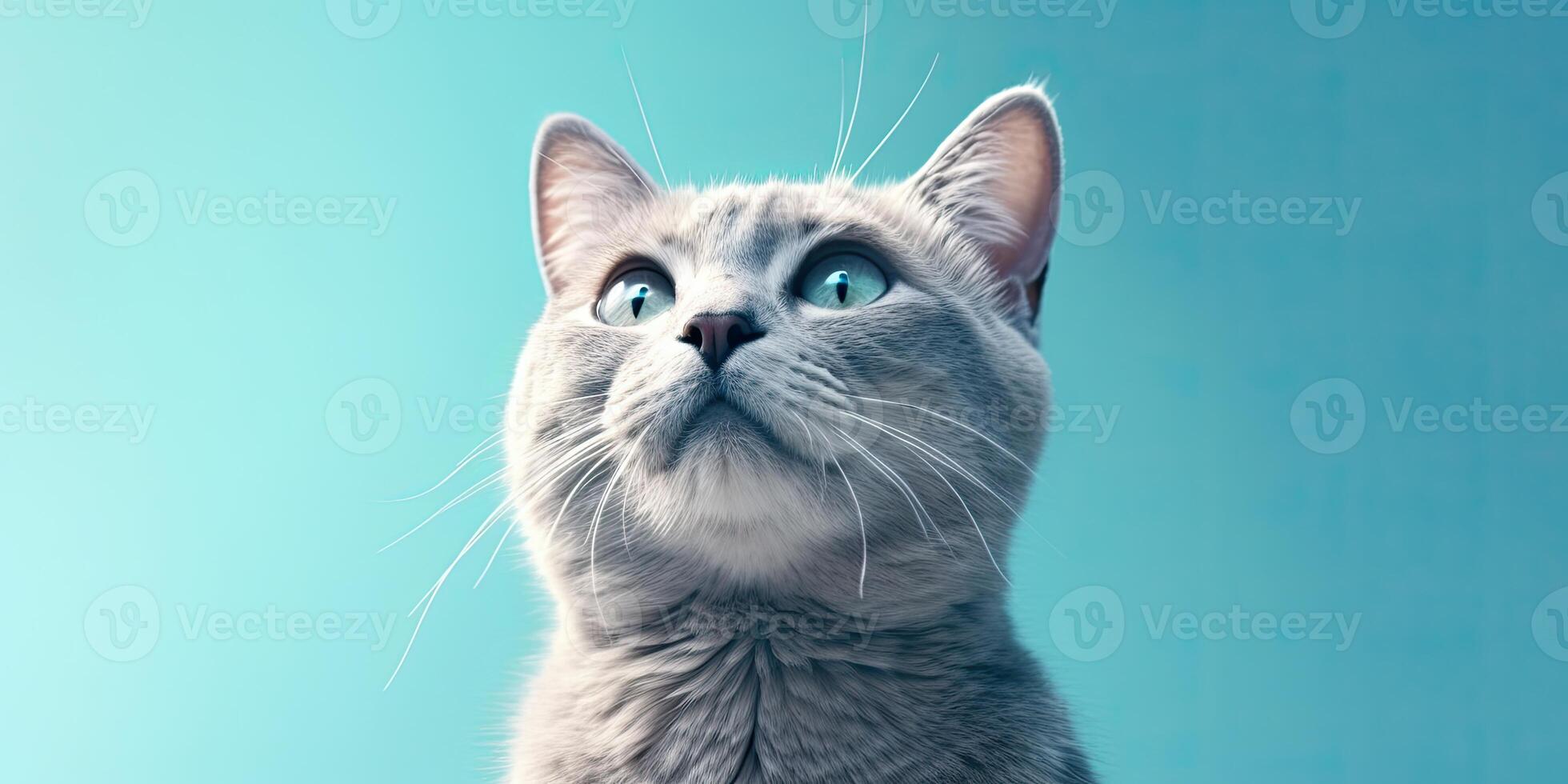 gato retrato em mínimo azul fundo para faixas ai generativo foto