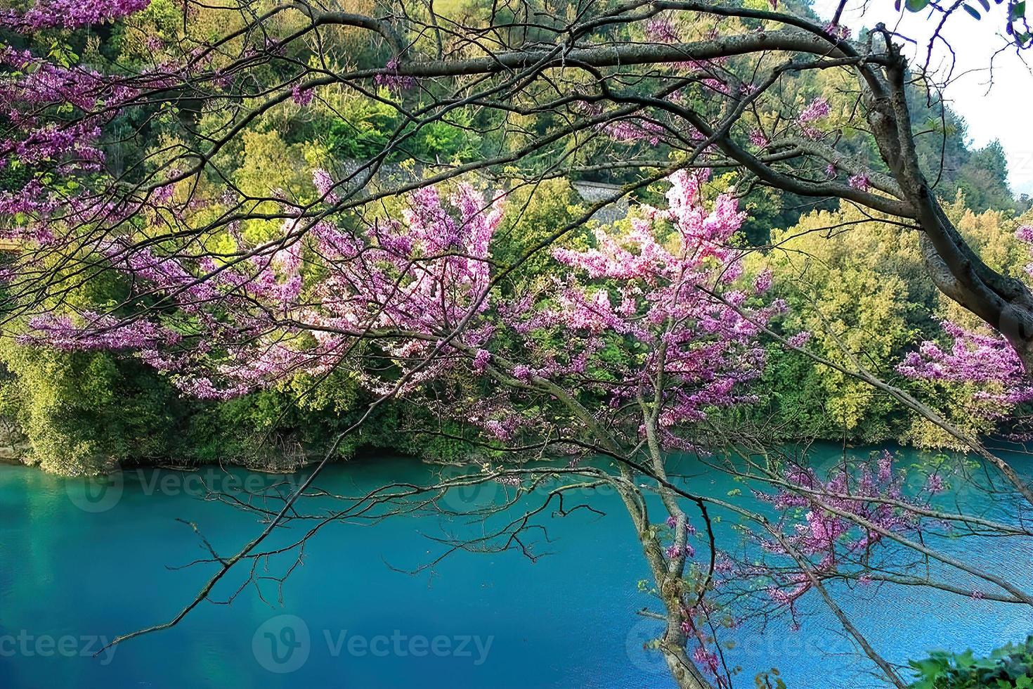 cores da natureza foto