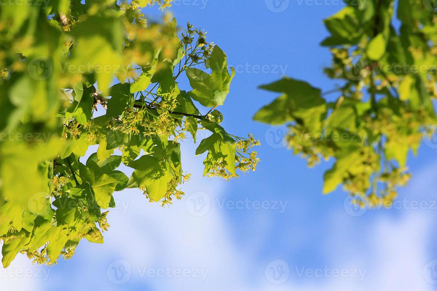 natureza no céu foto