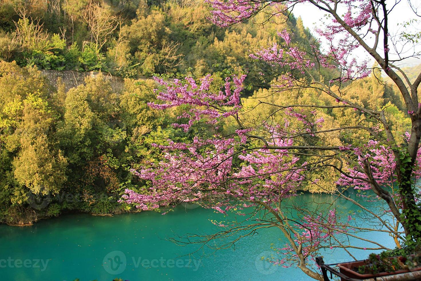 cores da natureza foto