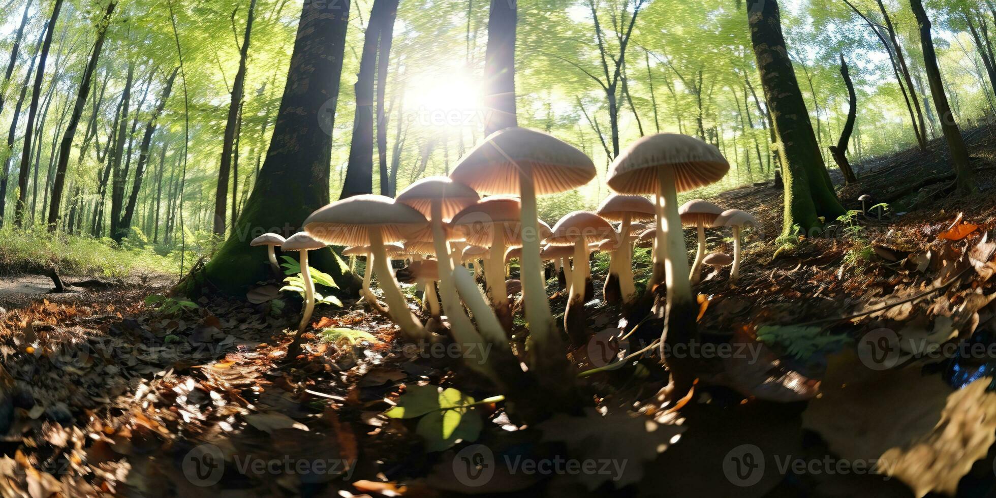 ai gerado. ai generativo. ao ar livre natureza selvagem panorama floresta explorar viagem aventuras com cogumelos encontrar em chão. gráfico arte foto