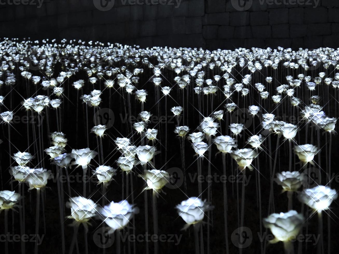 flor de luz no parque da cidade de seul. coreia do sul, inverno de 2017 foto