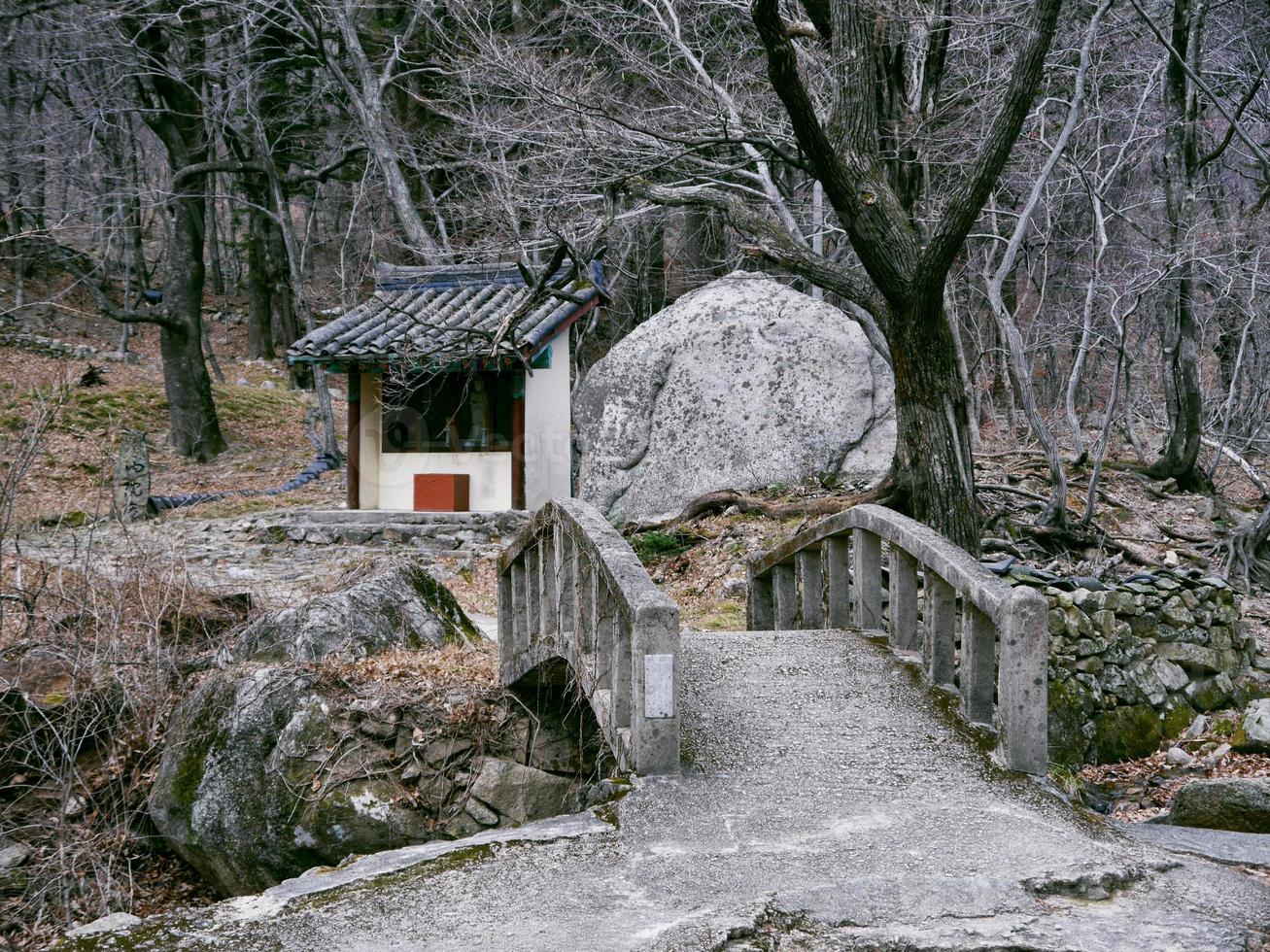 velha ponte sob um riacho na floresta do Parque Nacional de seoraksan. Coreia do Sul foto