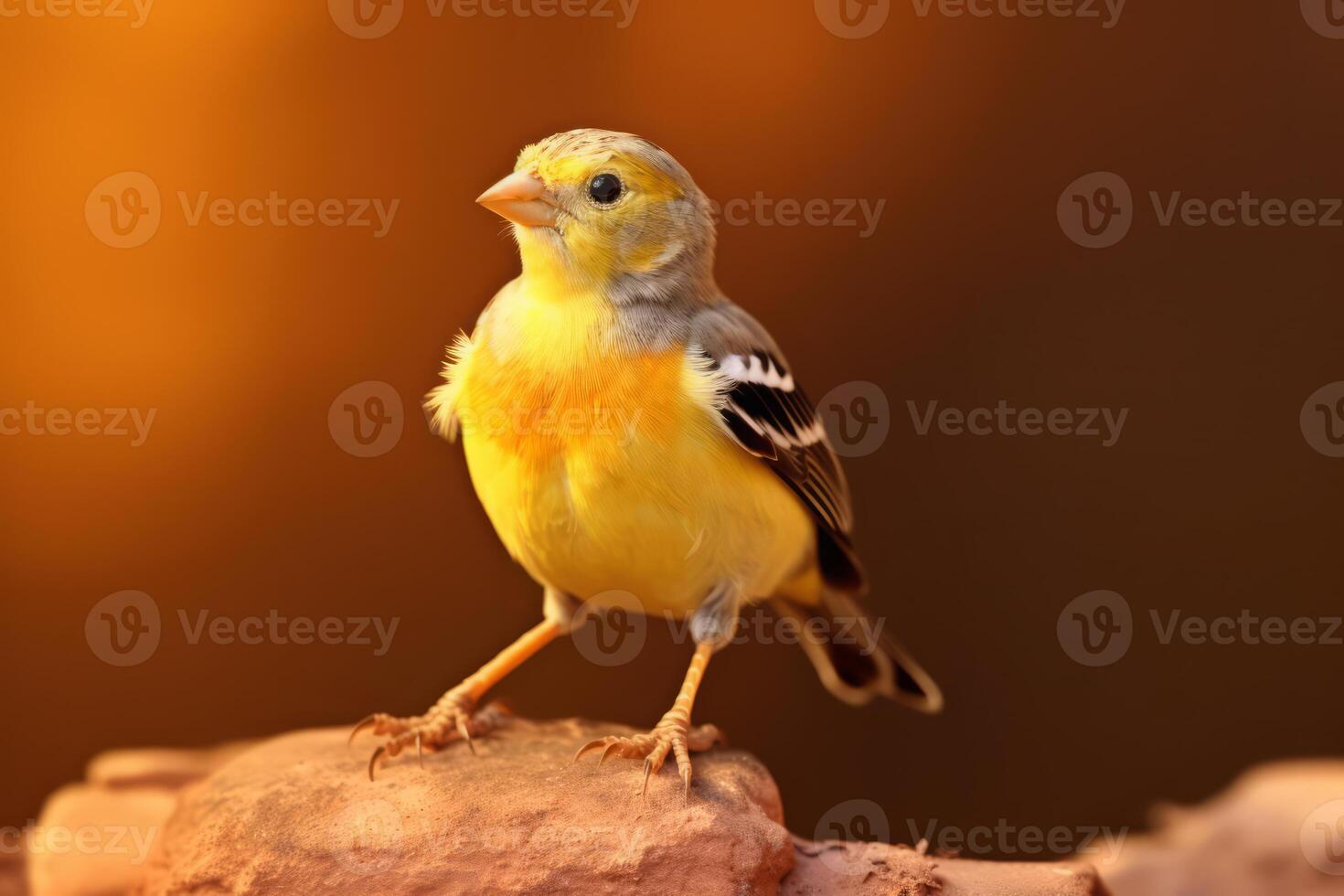 muito fofa tentilhão dentro natureza, nacional geografia, Largo vida animais. ai gerado. foto