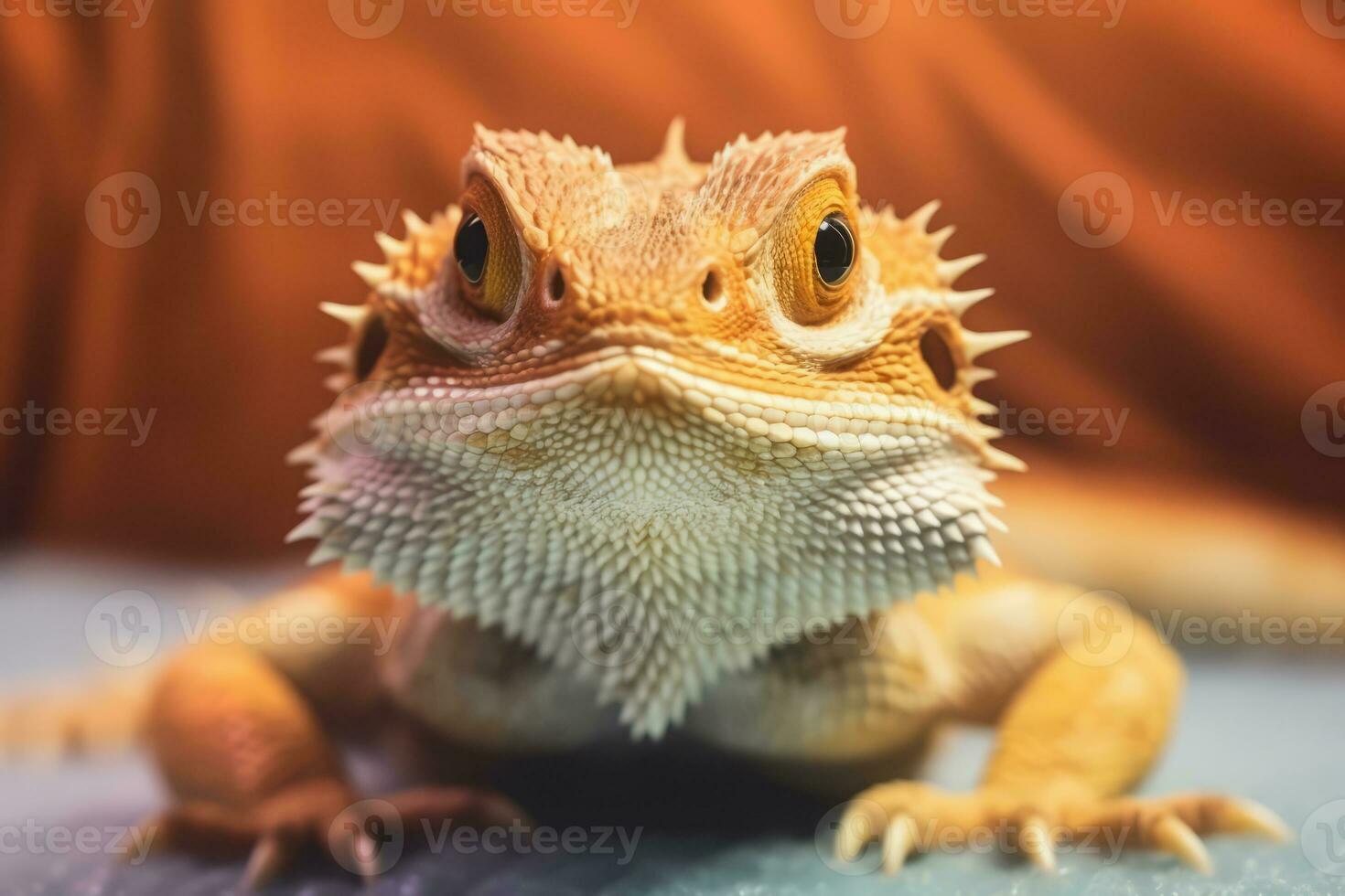 barbudo Dragão dentro natureza, nacional geografia, Largo vida animais. ai gerado. foto