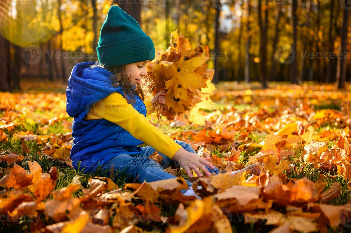 feliz espantado pequeno criança, adorável menina dentro colorida caloroso roupas desfrutando ao ar livre jogos dentro lindo outono dourado parque, encontro seco amarelo caído bordo folhas e colecionar fofa ramalhete às pôr do sol foto