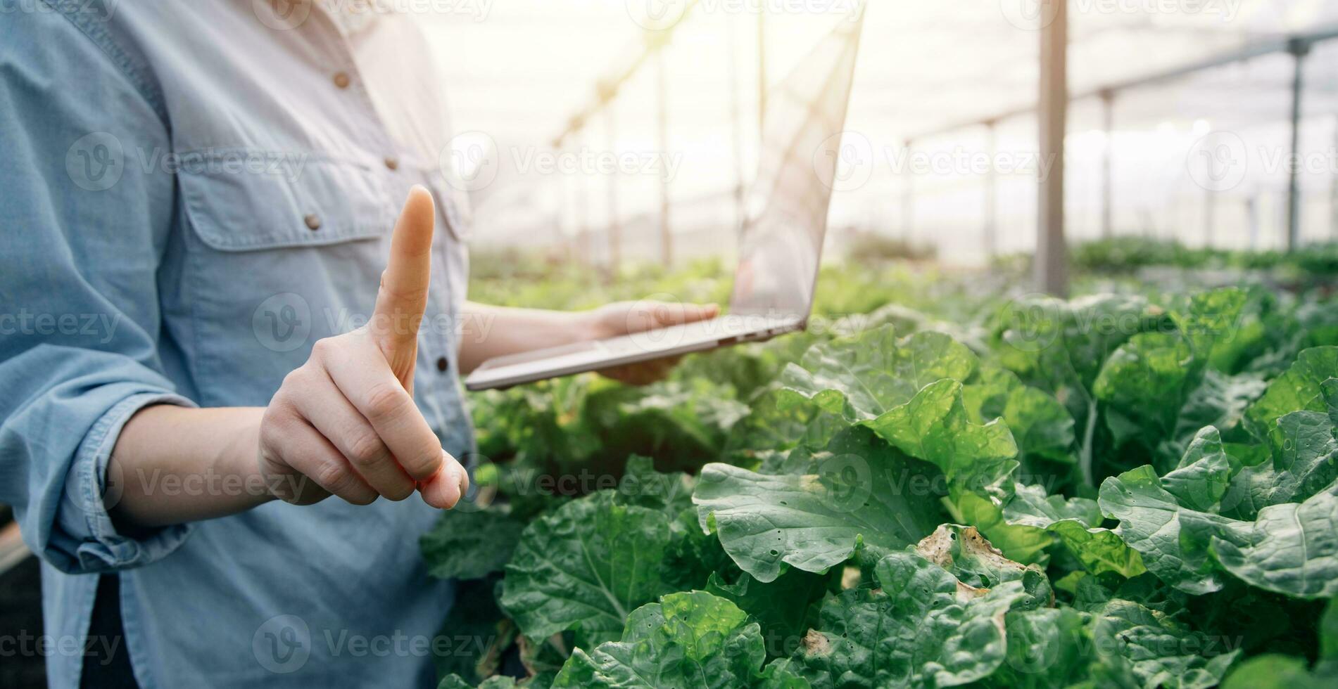 ásia mulher agricultor usando digital tábua dentro vegetal jardim às estufa, o negócio agricultura tecnologia conceito, qualidade inteligente agricultor. foto