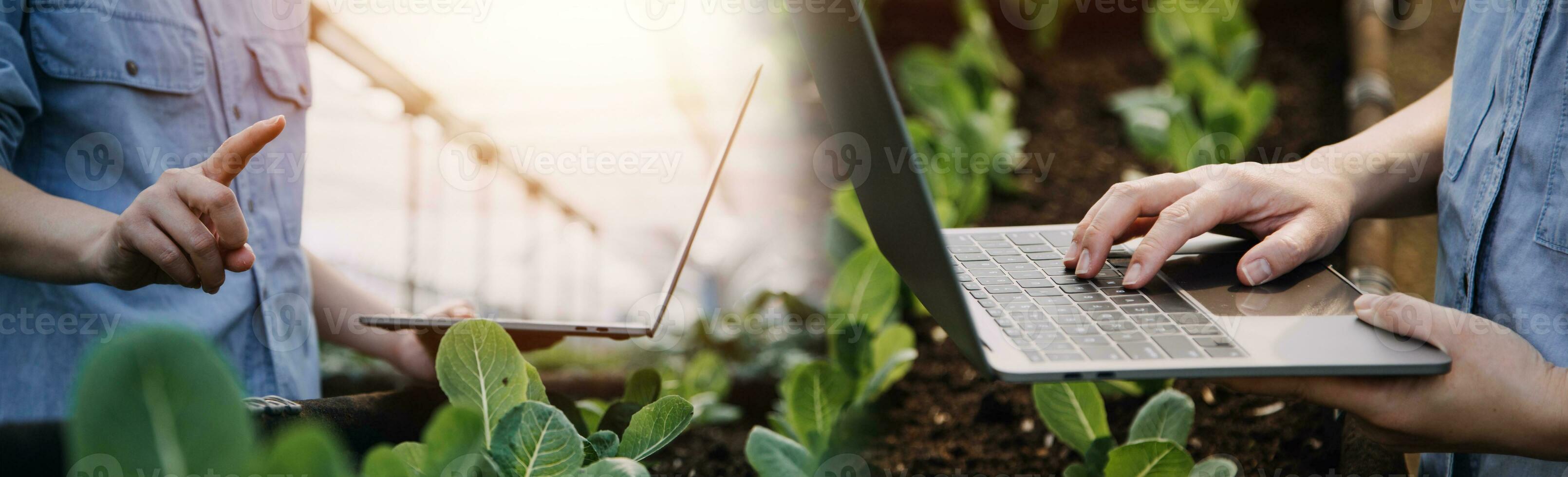 ásia mulher agricultor usando digital tábua dentro vegetal jardim às estufa, o negócio agricultura tecnologia conceito, qualidade inteligente agricultor. foto