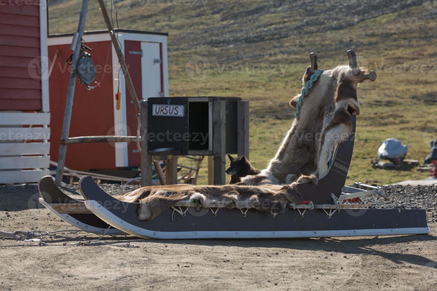 trenó puxado por cães em longyearbyen svalbard na noruega foto