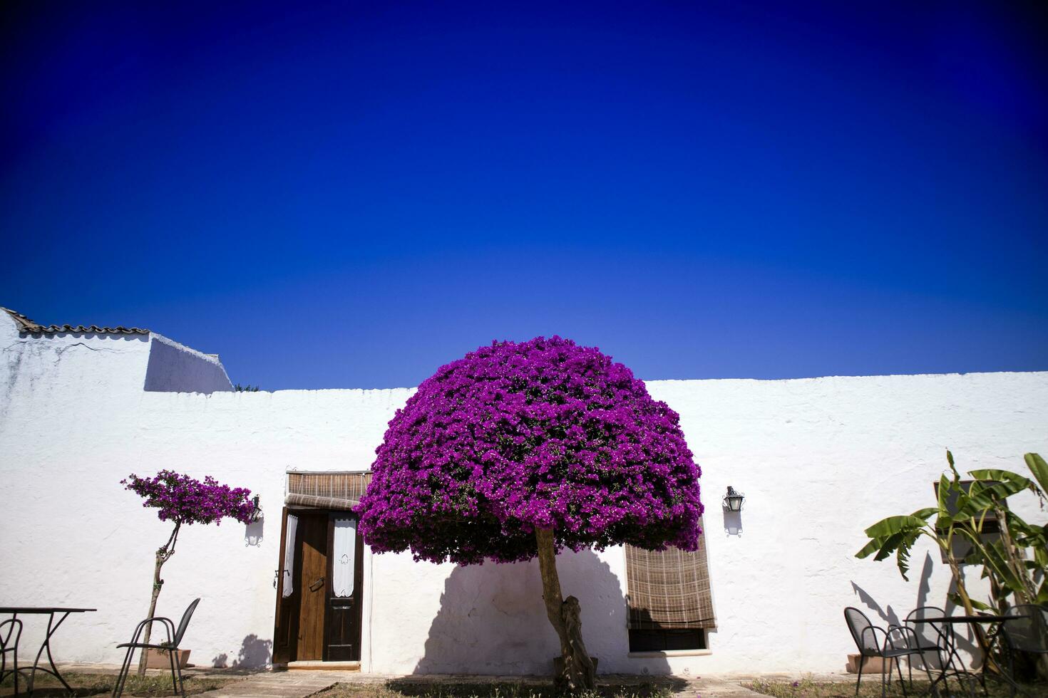 especial arquitetônico masseria foto