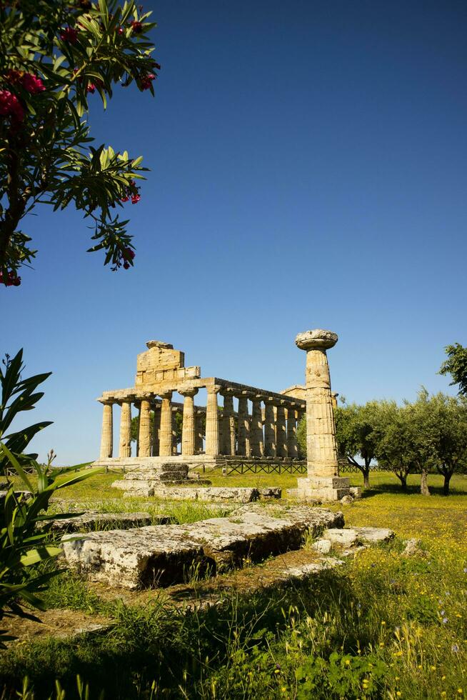 a antigo ruínas do Paestum foto