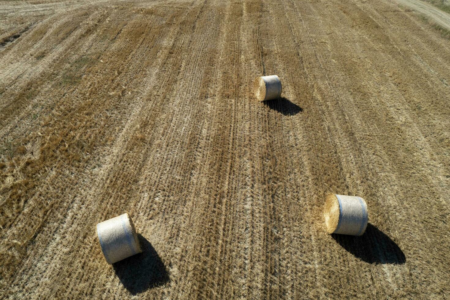 aéreo Visão do uma volta fardo campo dentro solstício de verão foto