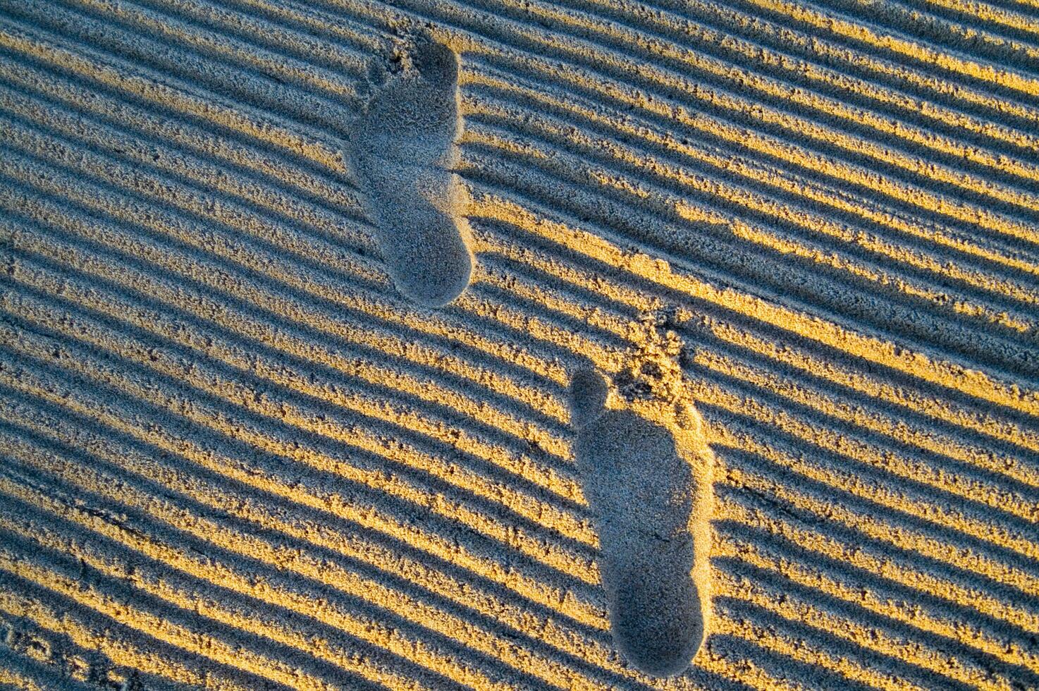 pegadas na areia foto