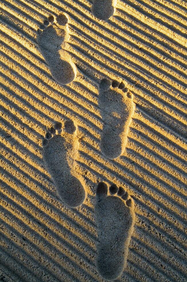 pegadas na areia foto