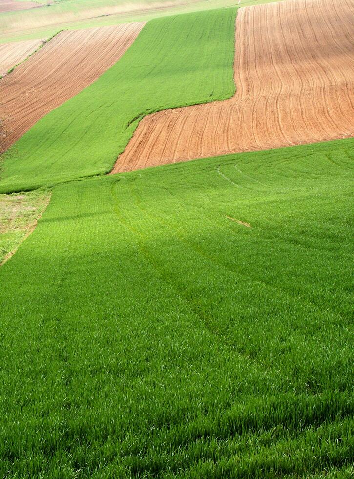 campo Visão dentro Primavera foto