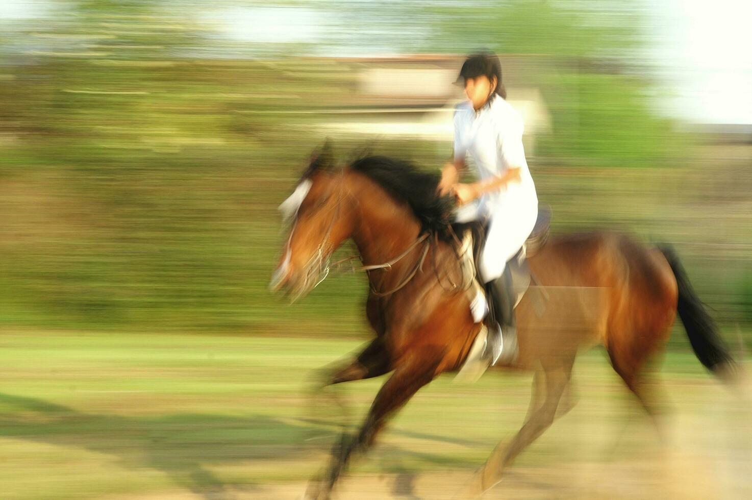 uma pessoa equitação uma cavalo foto