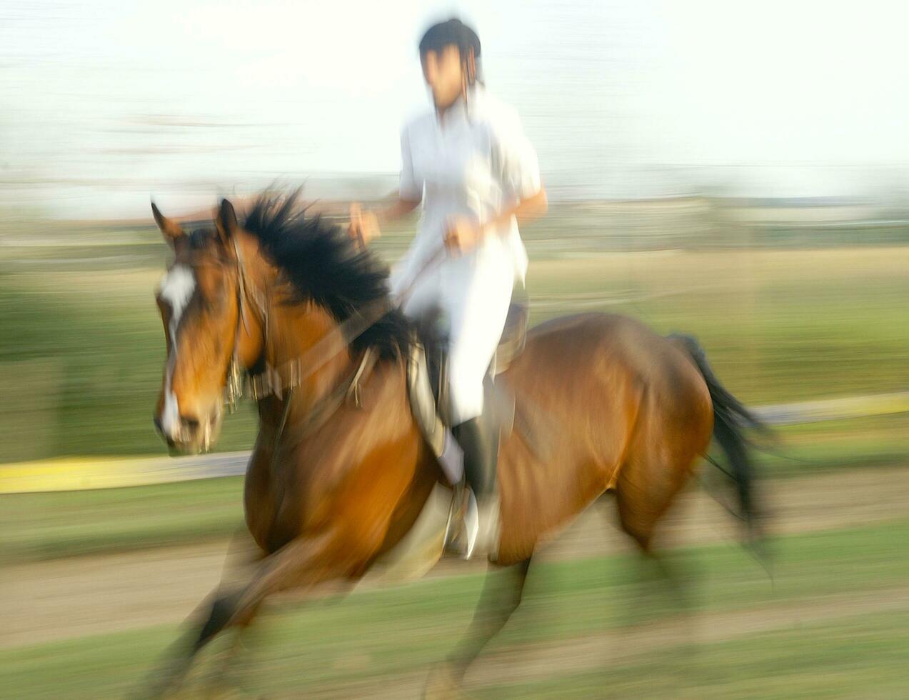 uma pessoa equitação uma cavalo foto