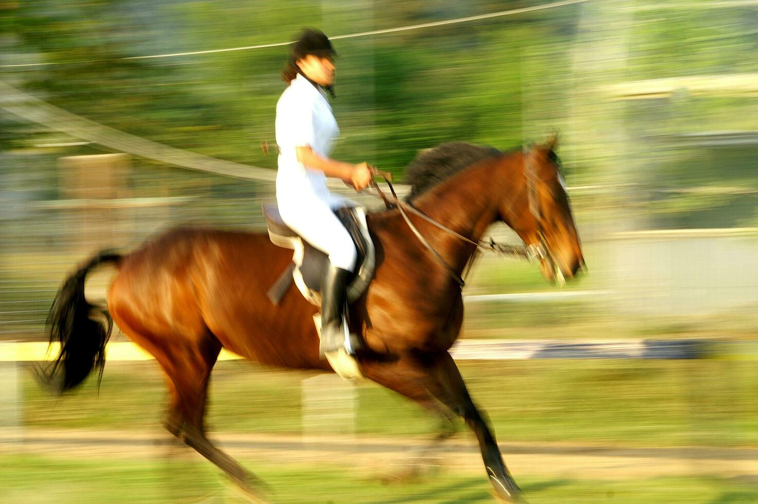 uma pessoa equitação uma cavalo foto