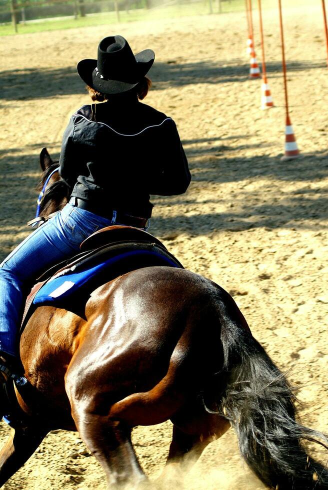 uma pessoa equitação uma cavalo foto