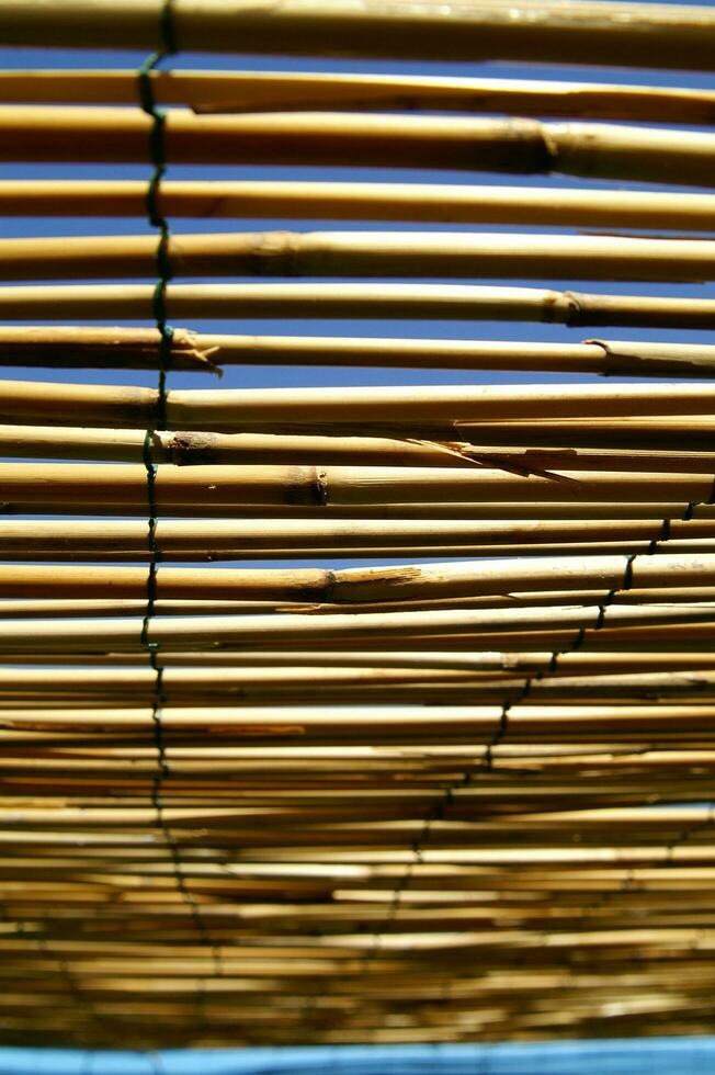 uma fechar acima do bambu postes com uma azul céu dentro a fundo foto