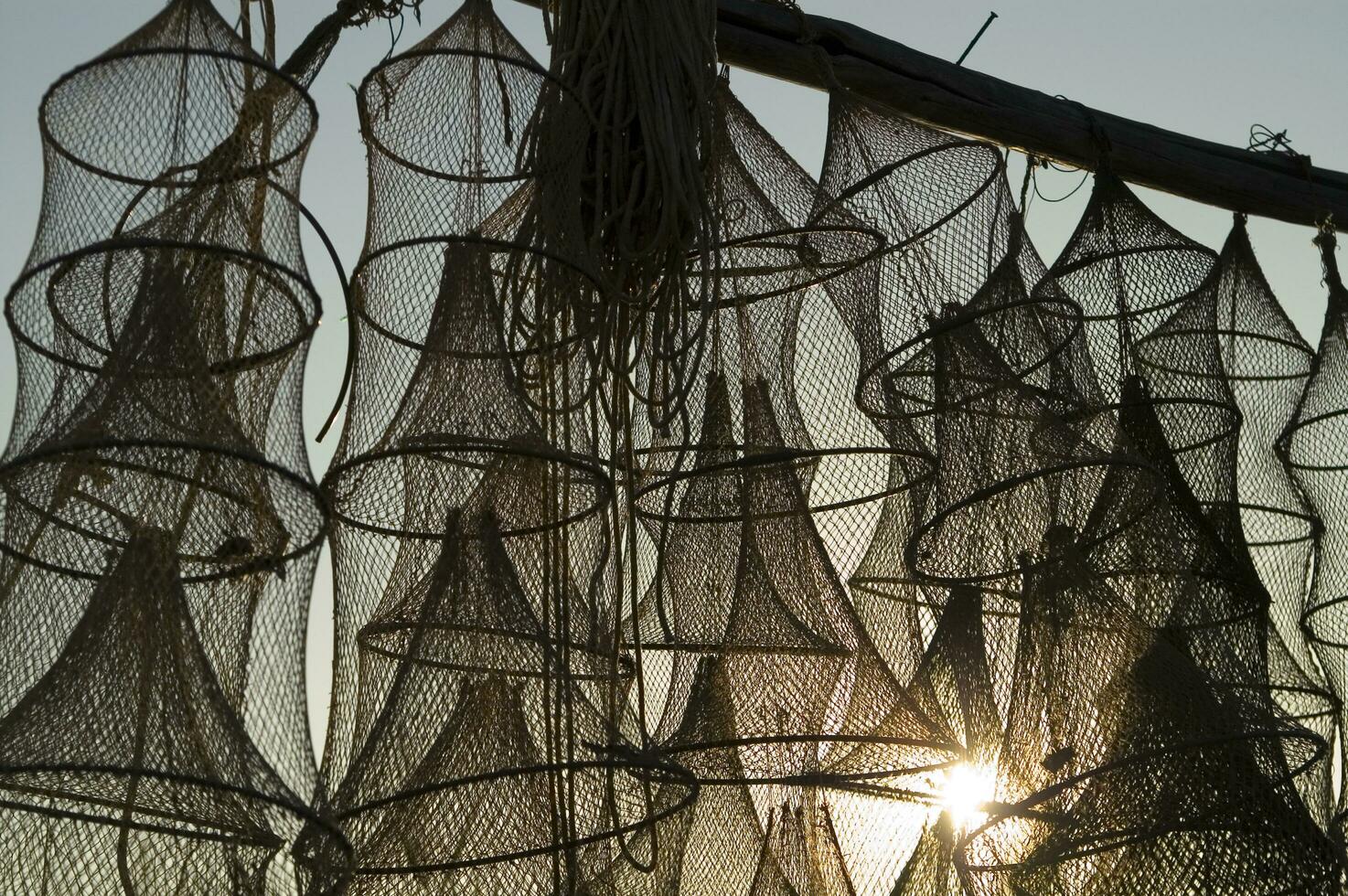 uma grupo do pescaria redes dentro a Sol foto
