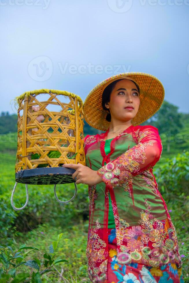 uma chá folha agricultor posando com uma bambu cesta dentro dele mãos cedo foto