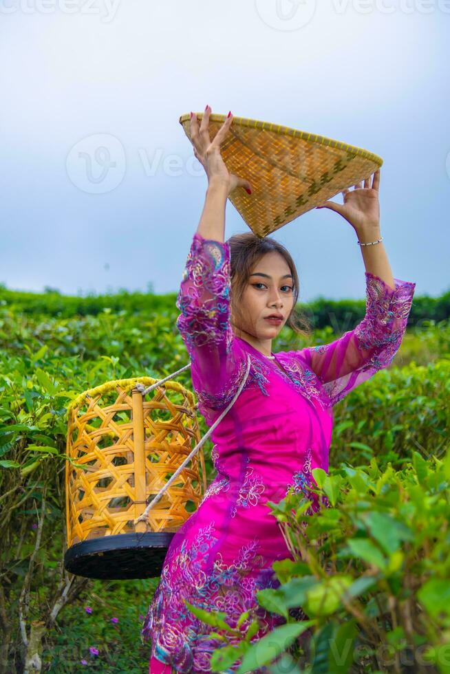 uma chá jardim agricultor posando entre a chá folhas enquanto segurando uma chapéu e bambu cesta foto