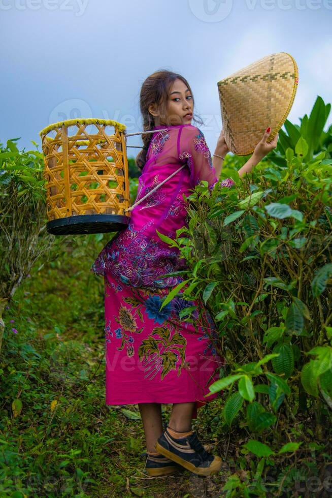 uma vietnamita menina é em pé dentro a meio do uma chá jardim enquanto carregando uma bambu cesta e segurando uma bambu chapéu foto