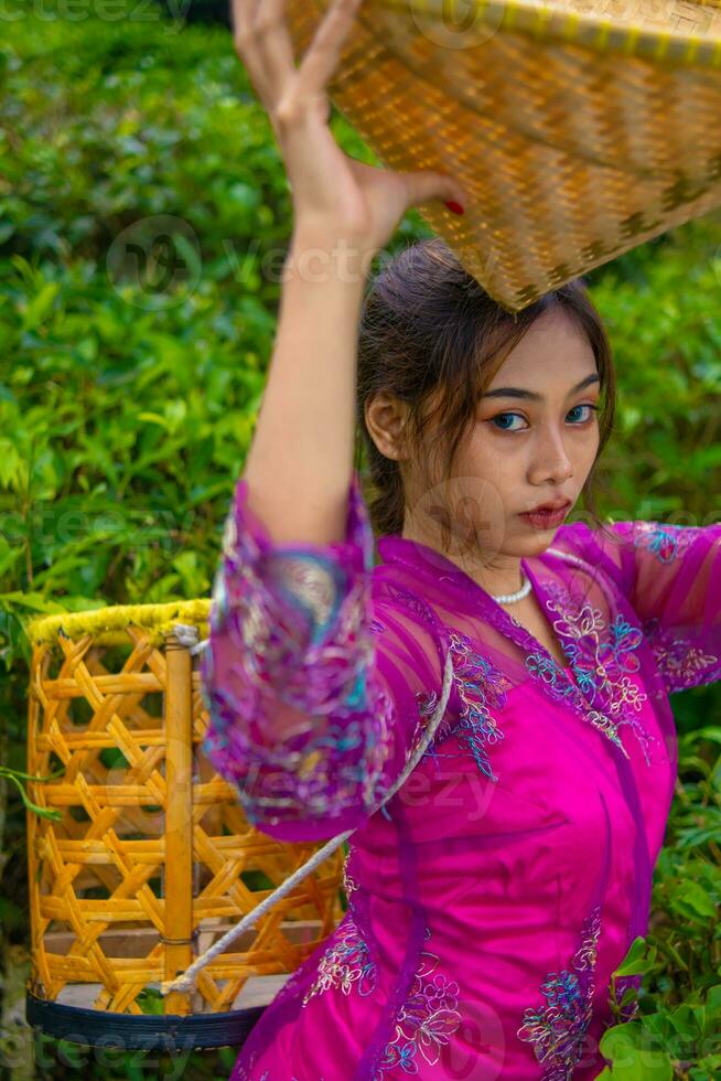 uma chá jardim agricultor posando entre a chá folhas enquanto segurando uma chapéu e bambu cesta foto