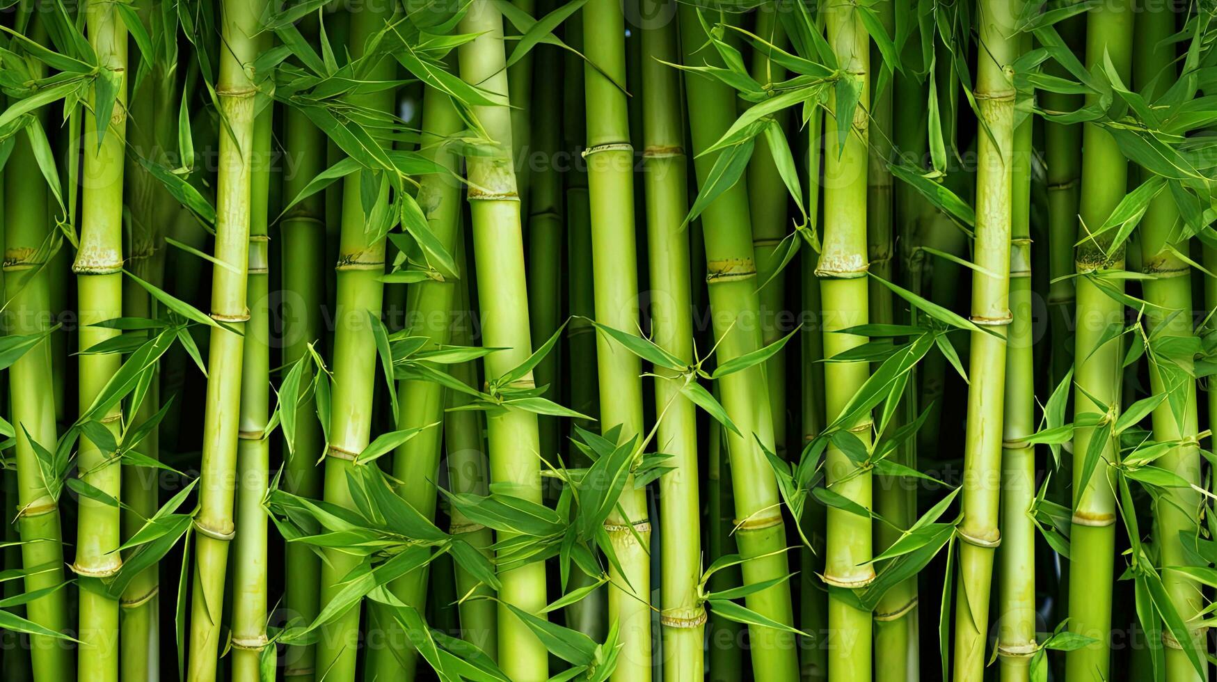 jovem tropical bambu fotos ilustração. tropical floresta árvore ásia selva .