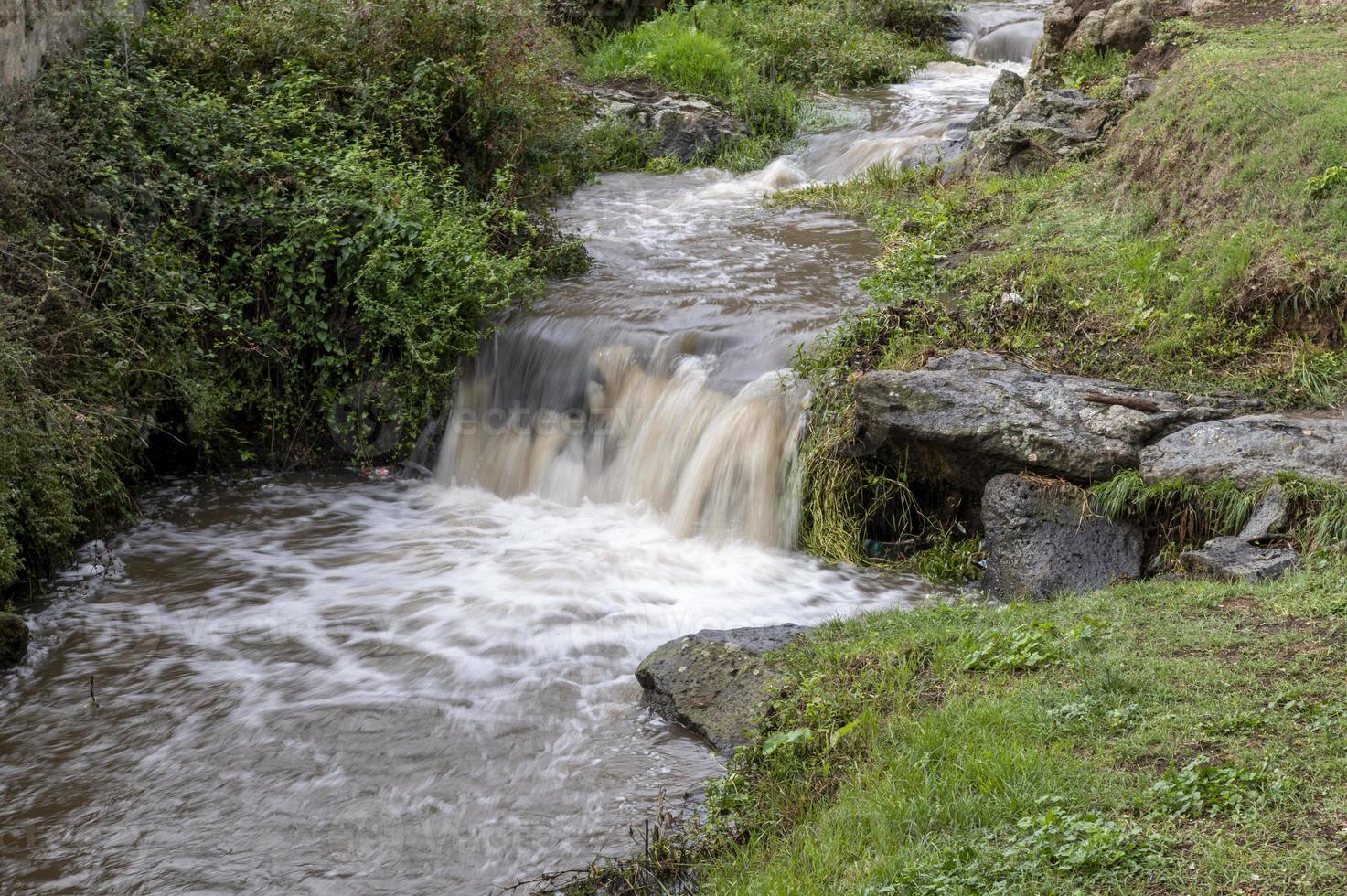 a cachoeira nepi cercada por vegetação foto