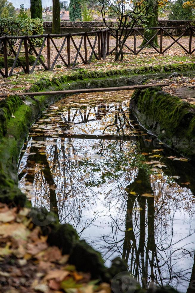 reflexões no lago do parque foto