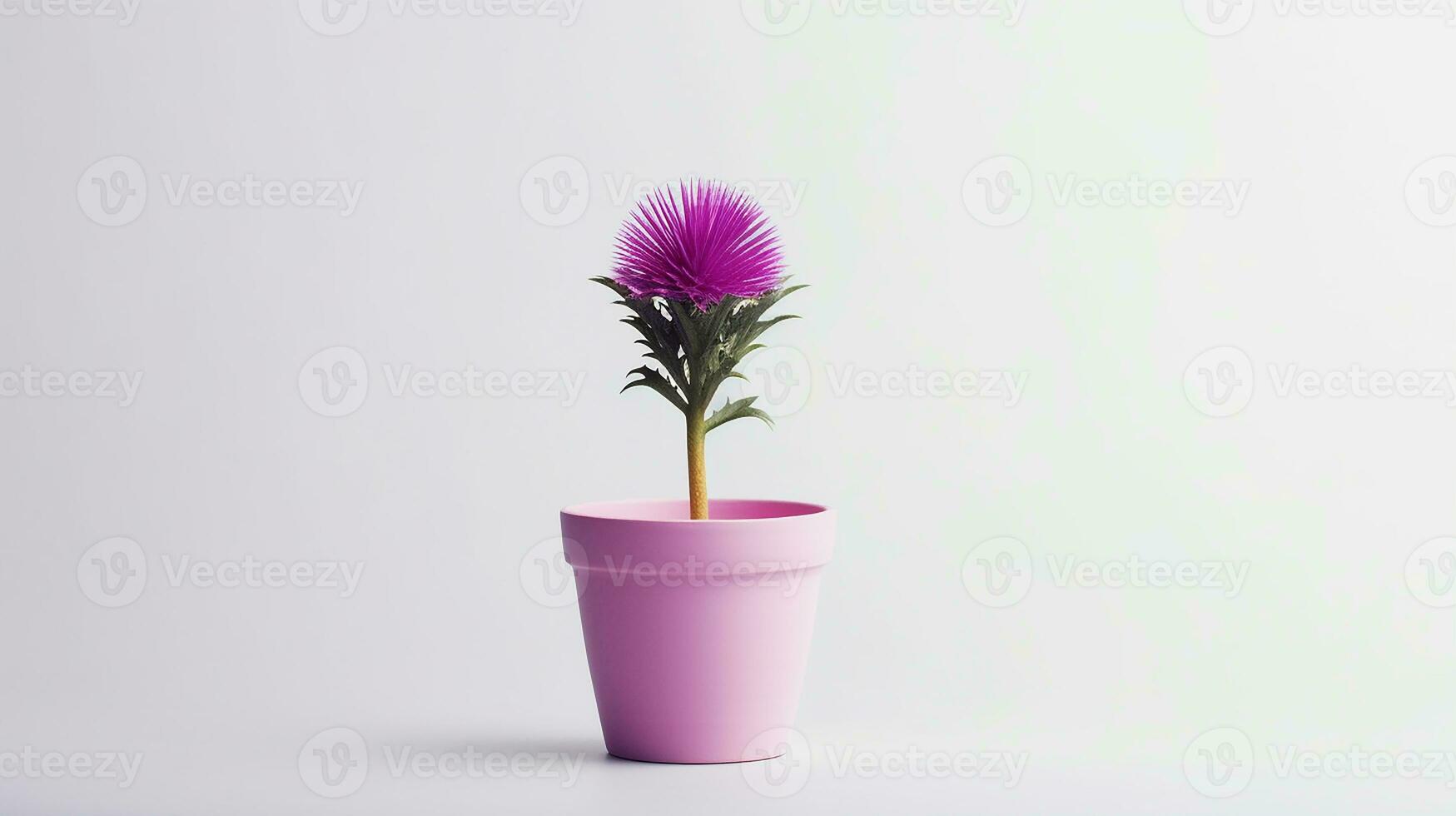 foto do cardo flor dentro Panela isolado em branco fundo. generativo ai