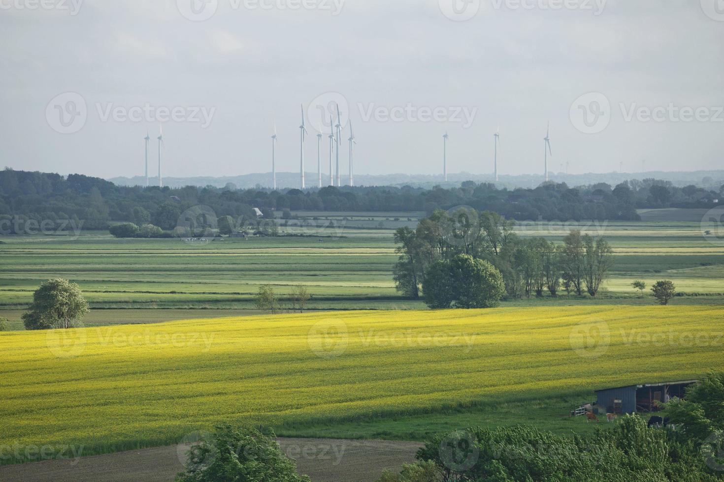 bela paisagem rural perto de kiel, schleswig holstein, alemanha foto