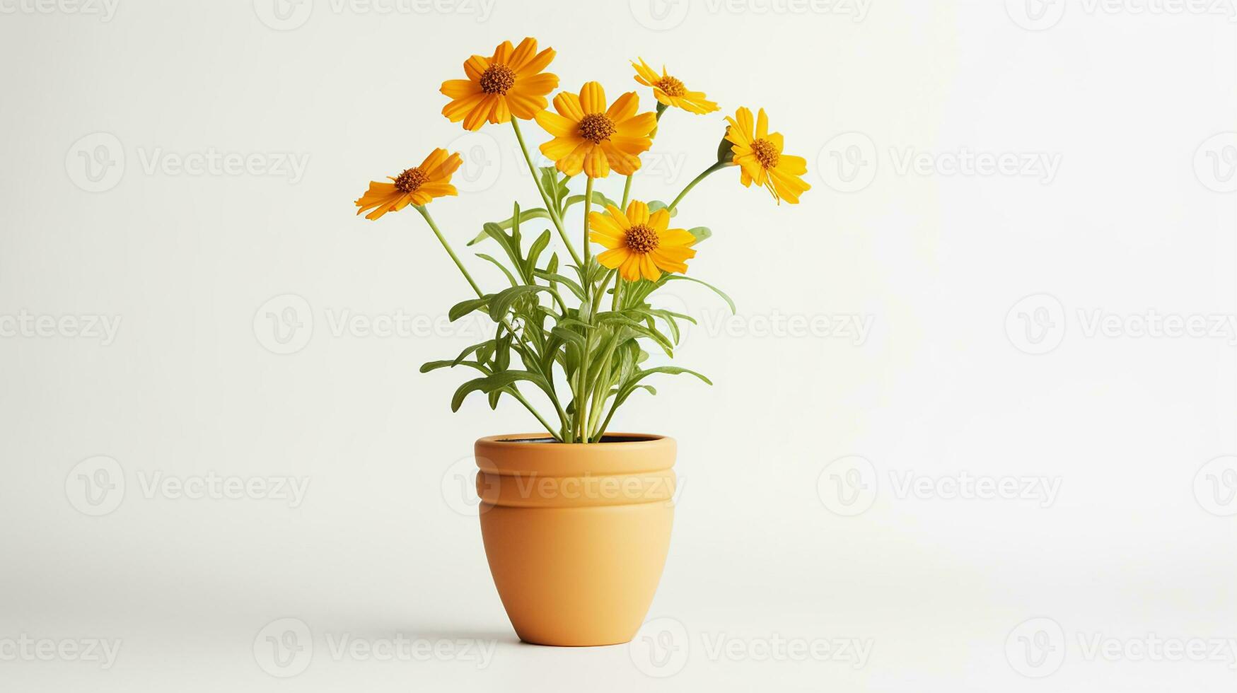 foto do coreopsis flor dentro Panela isolado em branco fundo. generativo ai