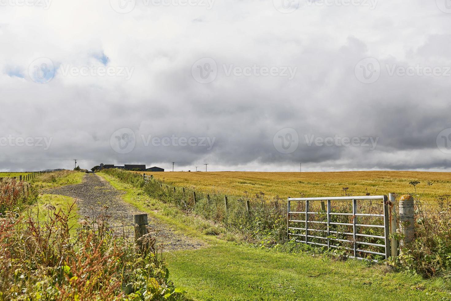 paisagem perto da área de john ogroats, escócia foto