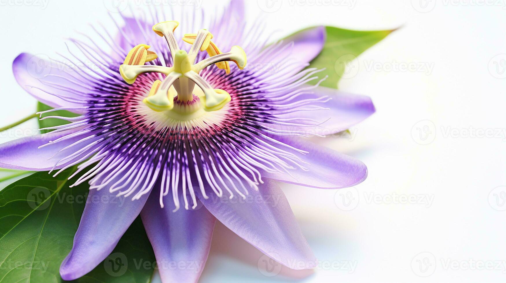 foto do lindo Flor da Paixão flor isolado em branco fundo. generativo ai