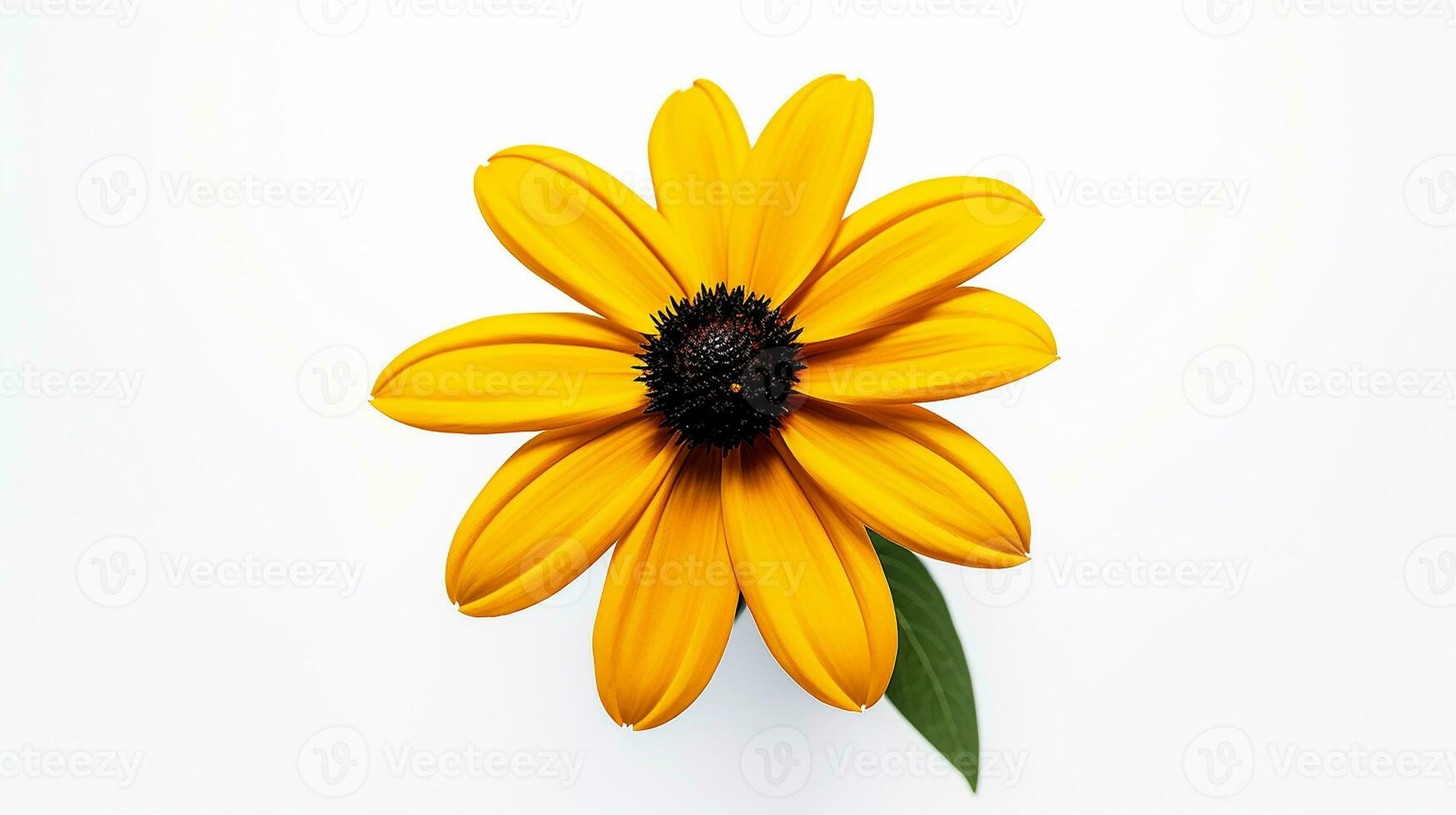 foto do lindo de olhos negros susan flor isolado em branco fundo. generativo ai