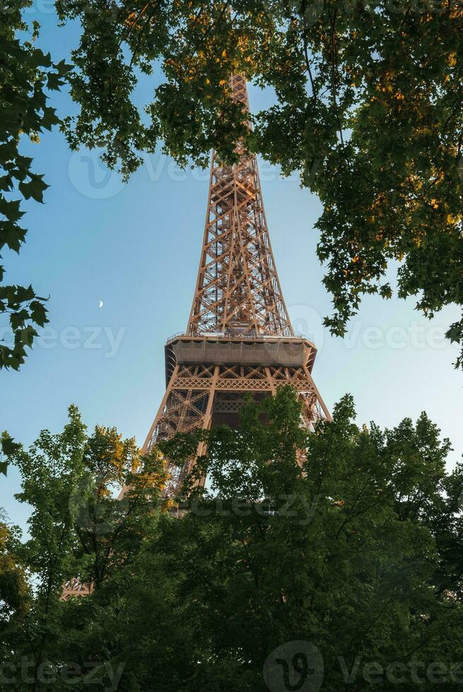 eiffel torre através verde folhagem debaixo azul céu foto