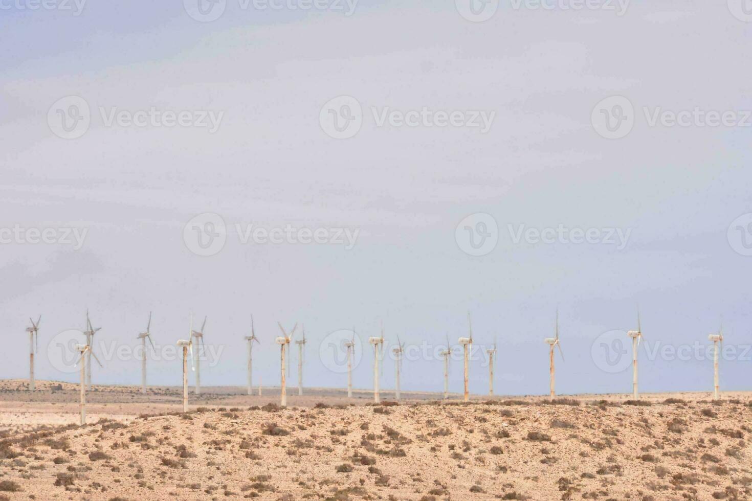 uma ampla grupo do vento turbinas dentro a deserto foto