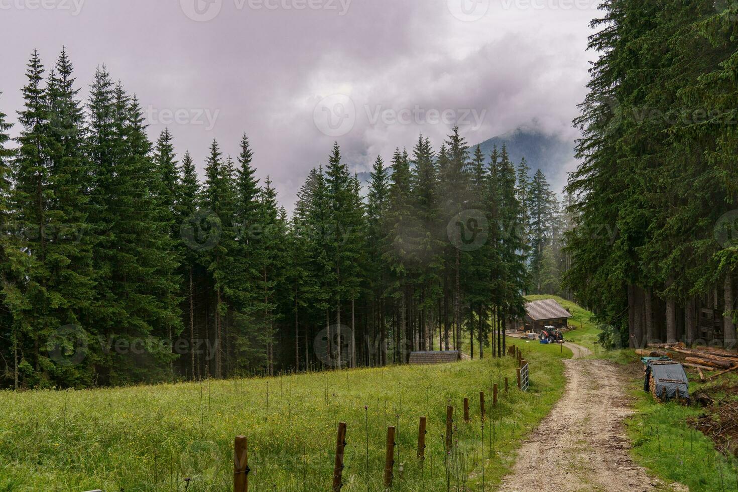 a austríaco Alpes foto