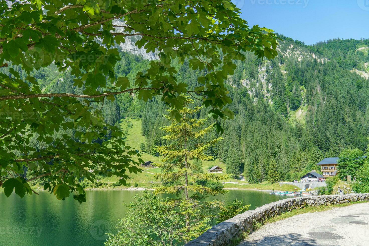 a beleza do Áustria foto