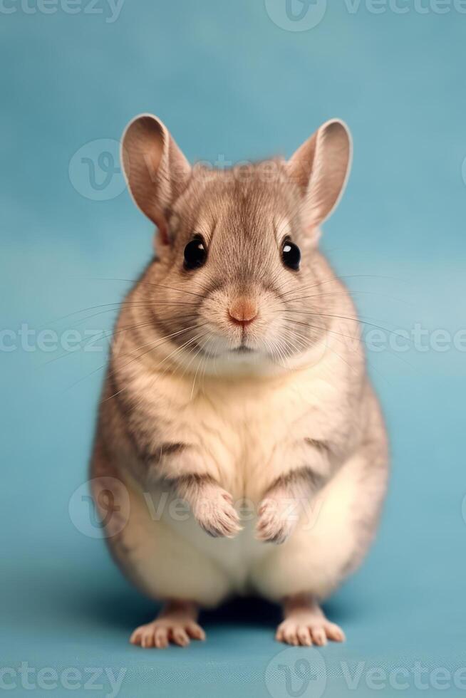 muito fofa bebê chinchila dentro natureza Largo vida animais. ai gerado. foto