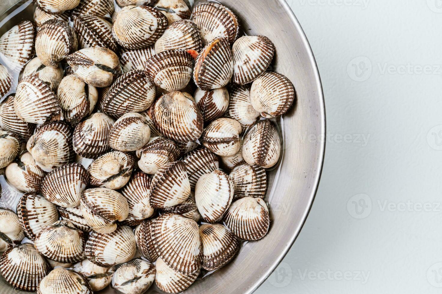 fresco frutos do mar berbigão dentro uma tigela foto