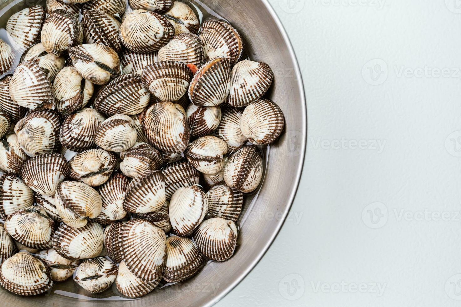 fresco frutos do mar berbigão dentro uma tigela foto
